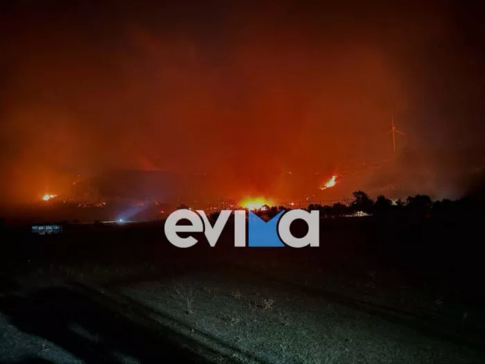 Φωτιά τώρα στην Εύβοια - Σε χαμηλή βλάστηση στον Άγιο Δημήτριο