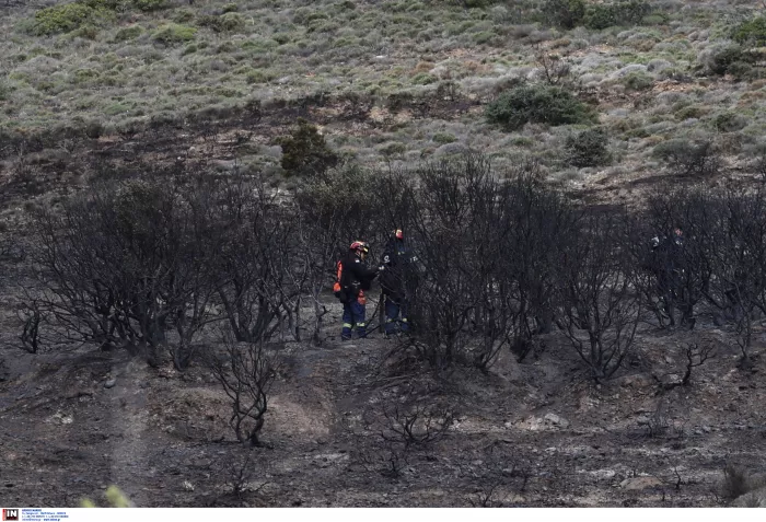 Κερατέα: Νέα αναζωπύρωση της φωτιάς από τους ανέμους – Παραμένει η Πυροσβεστική
