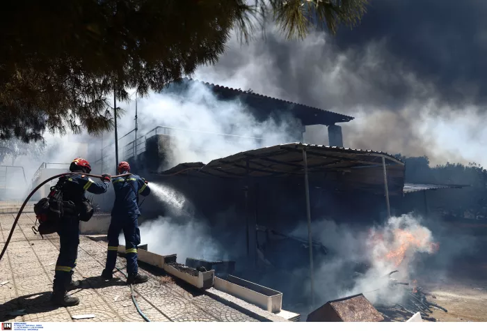 Στάχτη η Παλαιά Φώκαια: Μετρούν τις πληγές τους οι κάτοικοι - Κάηκαν σπίτια