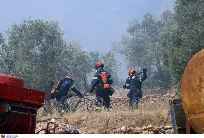 Χίος: Νέο πύρινο μέτωπο στα Λεπτόποδα - Ήχησε το 112