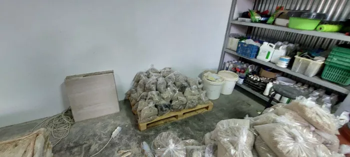 Έβγαζαν κοκαΐνη από εμποτισμένα δέρματα