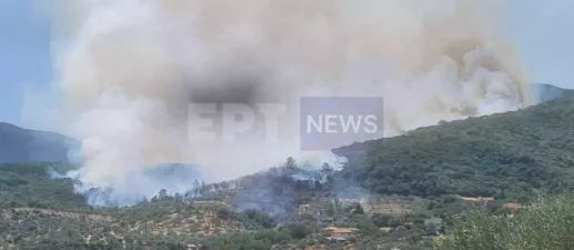 Φωτιά στα Πετράλωνα Μεσσηνίας: Εκκενώνονται σπίτια, απειλούνται από τη φωτιά