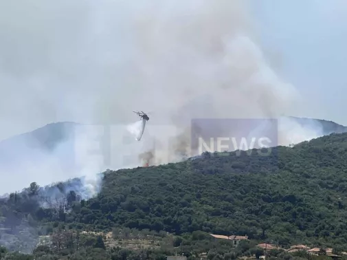 Φωτιά στα Πετράλωνα Μεσσηνίας: Εκκενώνονται σπίτια, απειλούνται από τη φωτιά