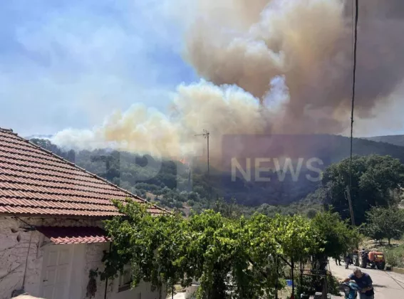 Φωτιά στα Πετράλωνα Μεσσηνίας: Εκκενώνονται σπίτια, απειλούνται από τη φωτιά