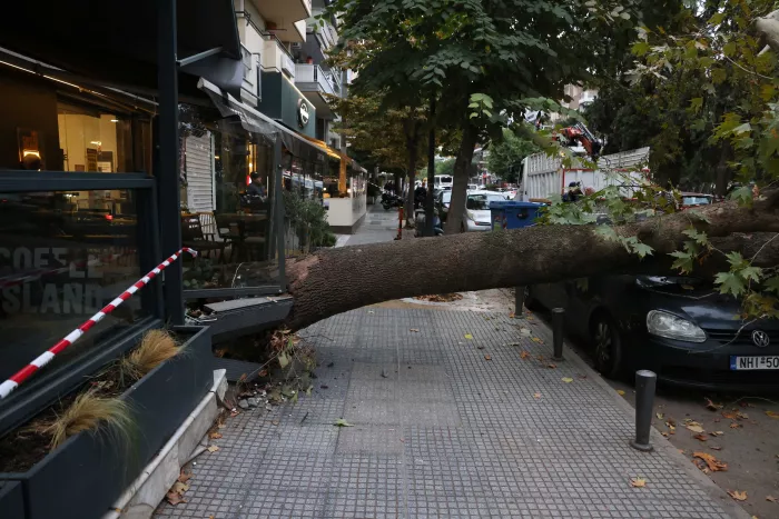 πτώση δέντρου στην Τούμπα, στη Θεσσαλονίκη