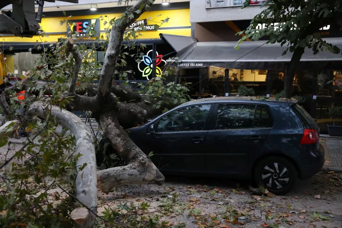 πτώση δέντρου στην Τούμπα, στη Θεσσαλονίκη