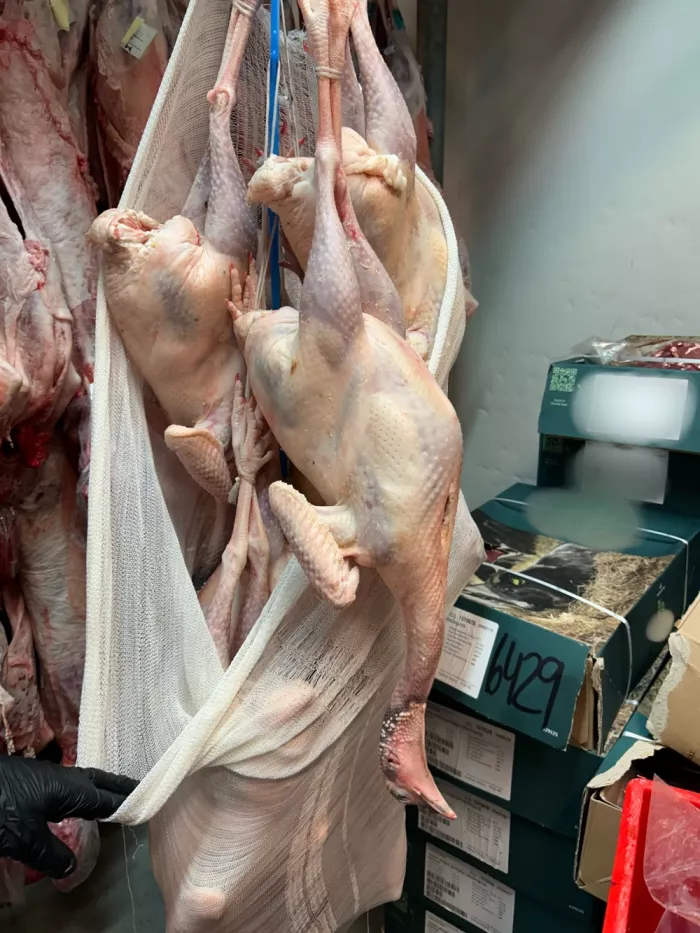 Αττική: Κατασχέθηκαν 12 τόνοι αλλοιωμένων κρεάτων - Εικόνες ντροπής