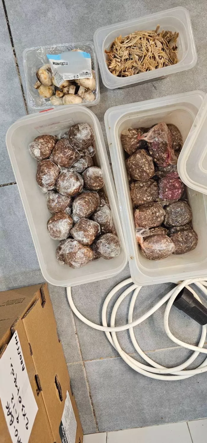 Αττική: Κατασχέθηκαν 12 τόνοι αλλοιωμένων κρεάτων - Εικόνες ντροπής