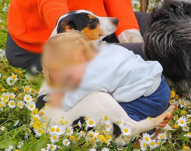 Ζάκυνθος: «Το πίτμπουλ τρόμαξε από πυροβολισμούς κυνηγών και κατασπάραξε τον Λίο»