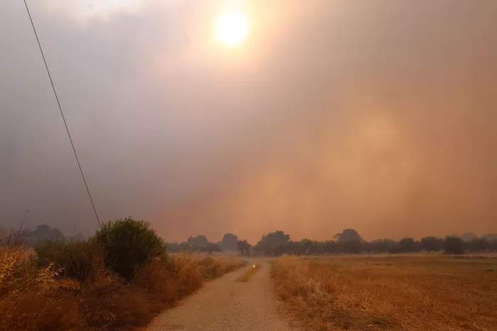 Φωτιά στη Δυτική Αττική: Ενεργές διάσπαρτες εστίες - «Στάχτη» 130.000 στρέμματα