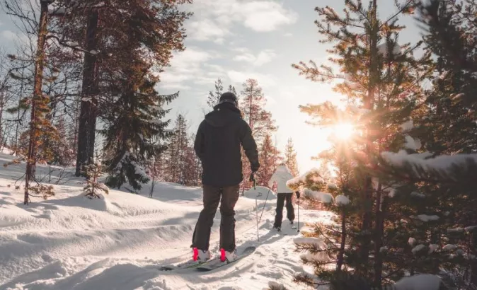 skiing, σκι, χιόνι, βουνό, σκιέρ, δάσος, πεζοπορία