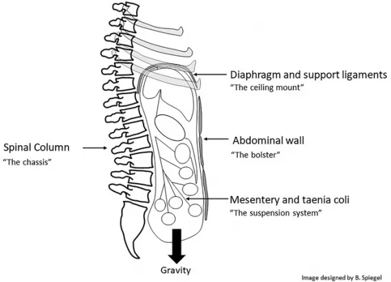 Irritable Bowel Syndrome