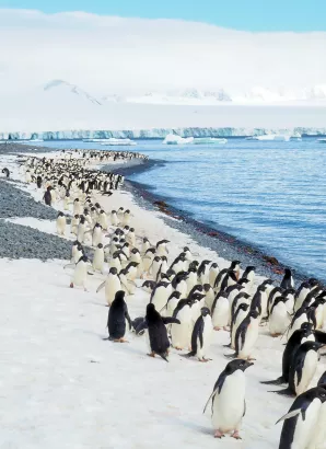 Αν ψάχνεις δουλειά, η Ανταρκτική ψάχνει ταχυδρόμο