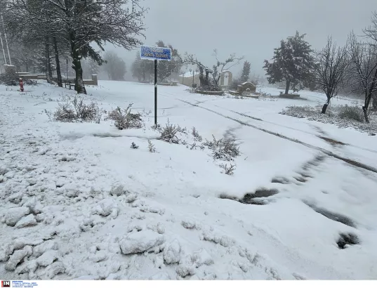 Χιόνια στην Ιπποκράτειο Πολιτεία - ΜΑΚΡΗΣ ΑΡΓΥΡΗΣ / INTIME NEWS