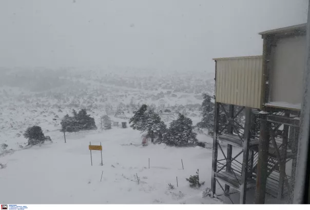 Χιόνια στην Πάρνηθα - ΚΑΡΑΤΖΑΣ ΚΩΣΤΑΣ / INTIME NEWS