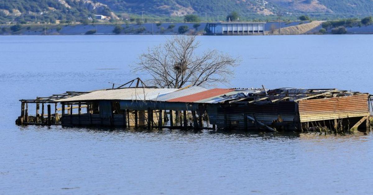 ΕΛΓΑ: Πληρώθηκαν 1.637 αγρότες - Την Παρασκευή οι αποζημιώσεις για την κακοκαιρία Daniel