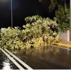 Εικόνες καταστροφής στο Βόλο: Σε ισχύ η απαγόρευση κυκλοφορίας - Πλημμύρισαν δρόμοι και σπίτια - Δεκάδες απεγκλωβισμοί πολιτών