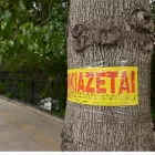 Επιστροφή ενοικίου έως 800 ευρώ: Μη χάσετε τα χρήματα! Τι πρέπει να κάνετε