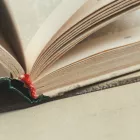 «Ρεζίλι»: Πώς αποδίδεται η λέξη στα ελληνικά;