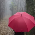 Πώς λέμε στα ελληνικά την «ομπρέλα»;