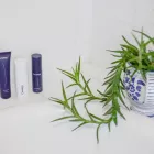 Μπάνιο και πλακάκια