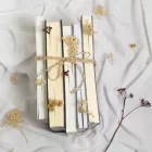 Τι σημαίνει η λέξη «στικτός»