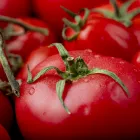 Έτσι καταστρέφεις τη γεύση της ντομάτας σε δευτερόλεπτα