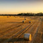 Θέσεις εργασίας στον ΕΛΓΟ Δήμητρα