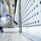 Έντομα στο σπίτι: Τα 7 πράγματα που τα προσελκύουν