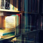 Τι σημαίνει η λέξη «φρενίτιδα»